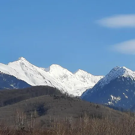 Dom wakacyjny Family Mountain Cîrţişoara