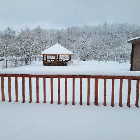 Family Mountain Dom wakacyjny Cîrţişoara